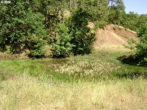 0 Newton Creek Road Roseburg OR 97470