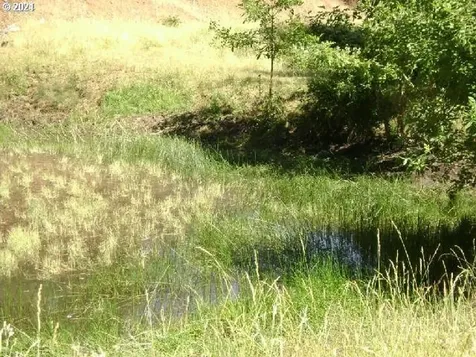 0 Newton Creek Road Roseburg OR 97470