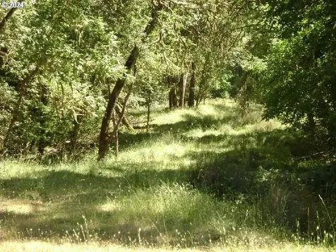 0 Newton Creek Road Roseburg OR 97470