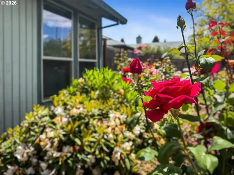 3113 B Street Forest Grove OR 97116