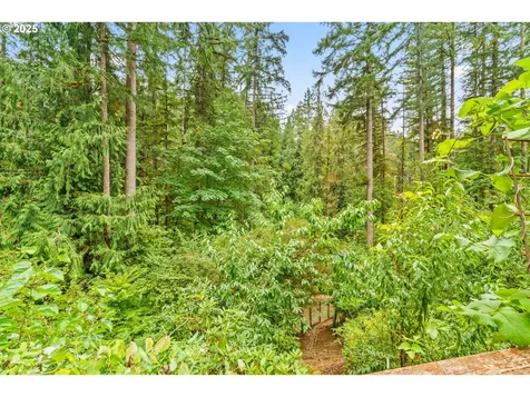 40153 Booth Kelly Road Springfield OR 97478
