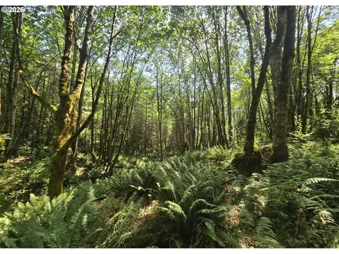 Tide Creek Road Rainier OR 97048