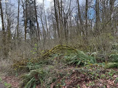 Tide Creek Road Rainier OR 97048