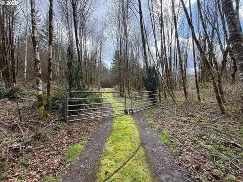 Tide Creek Road Rainier OR 97048