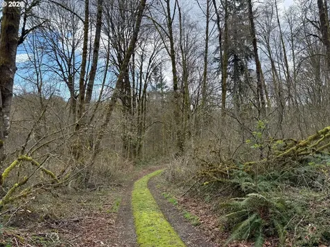 Tide Creek Road Rainier OR 97048