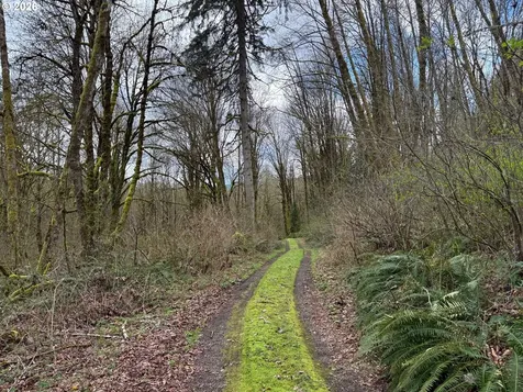 Tide Creek Road Rainier OR 97048