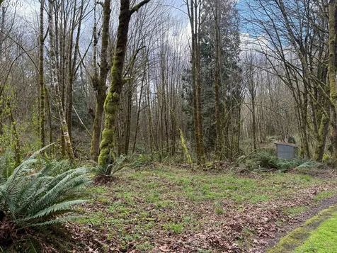Tide Creek Road Rainier OR 97048