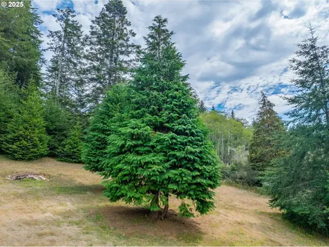 91424 N Bank Lane Coquille OR 97423