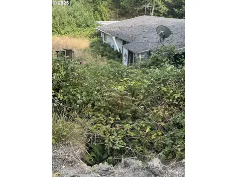 33155 Cedar Valley Road Gold Beach OR 97444