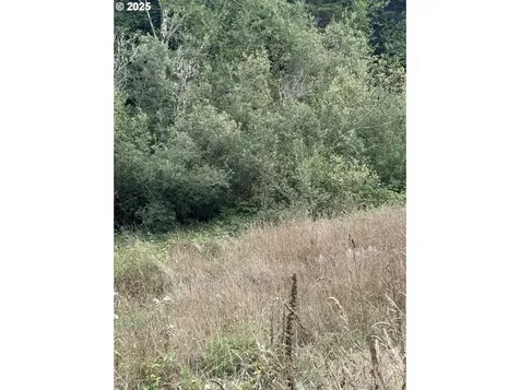 33155 Cedar Valley Road Gold Beach OR 97444