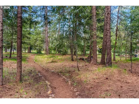 56 Lava Road Trout Lake WA 98650
