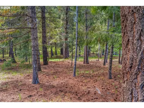 56 Lava Road Trout Lake WA 98650