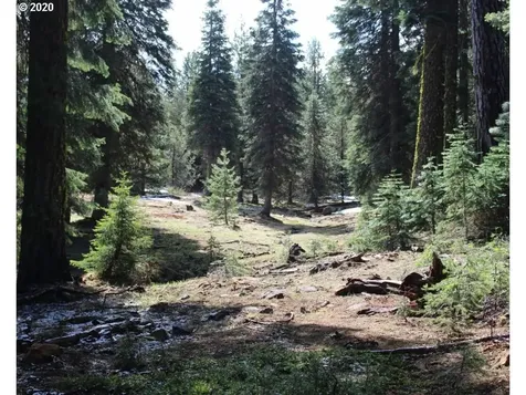 Keno Access Road Klamath Falls OR 97601