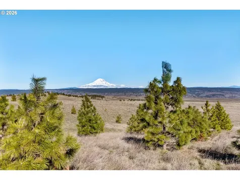412 Schilling Road Lyle WA 98635