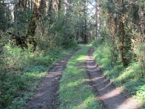 Vernonia OR 97064