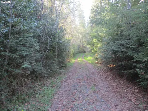 Vernonia OR 97064