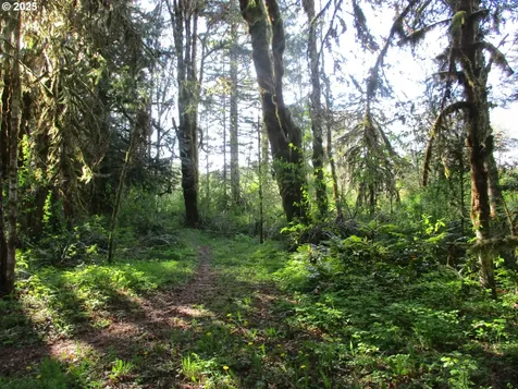 Vernonia OR 97064
