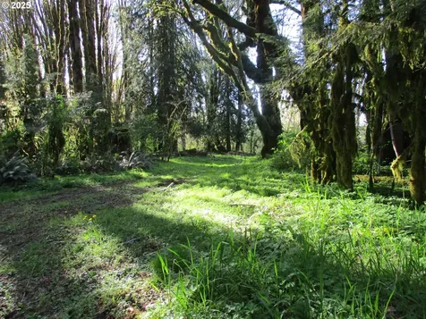 Vernonia OR 97064