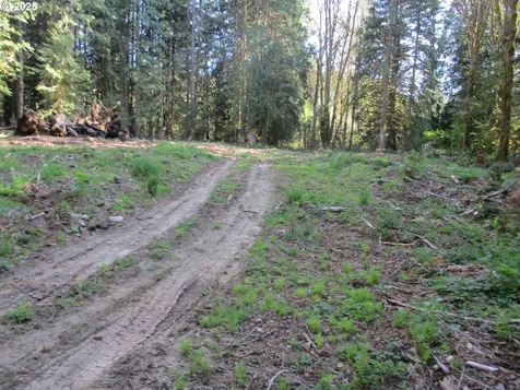 Vernonia OR 97064