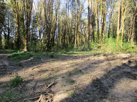 Vernonia OR 97064