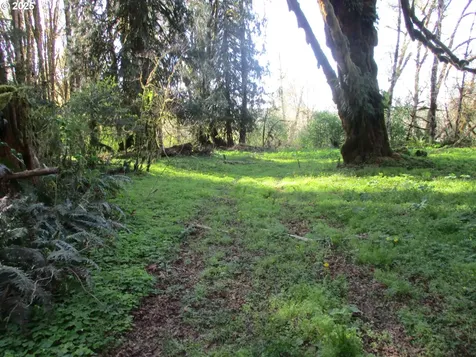 Vernonia OR 97064