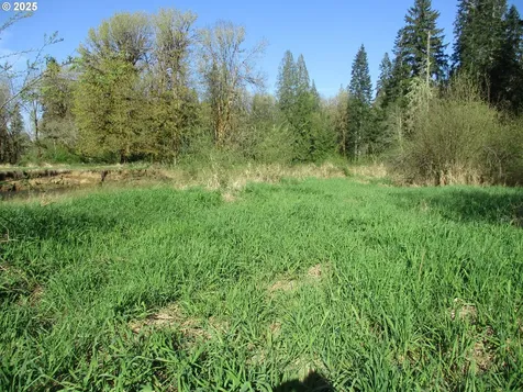 Vernonia OR 97064