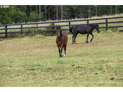 34680 NE Kramien Road Newberg OR 97132