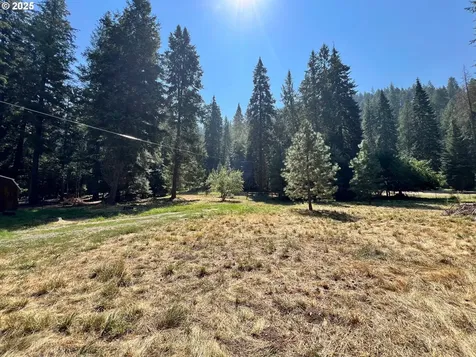 59654 River Canyon Road Imnaha OR 97842