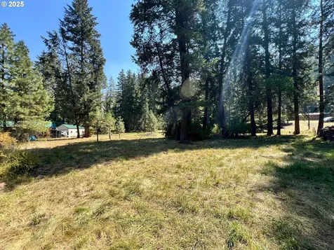 59654 River Canyon Road Imnaha OR 97842