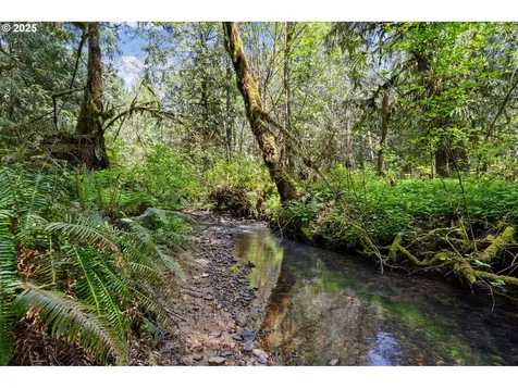 11919 NE Sliderberg Road Brush Prairie WA 98606