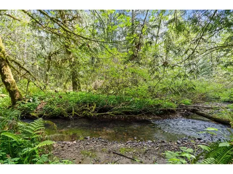 11919 NE Sliderberg Road Brush Prairie WA 98606