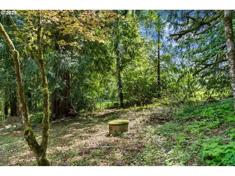 11919 NE Sliderberg Road Brush Prairie WA 98606