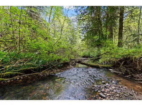11919 NE Sliderberg Road Brush Prairie WA 98606