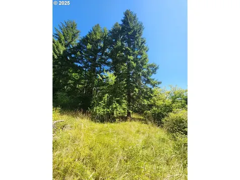 16807 Highway 36 Deadwood OR 97430