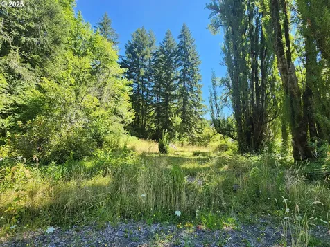 16807 Highway 36 Deadwood OR 97430