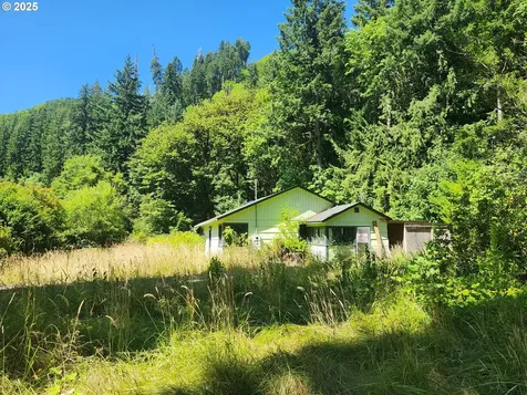 16807 Highway 36 Deadwood OR 97430