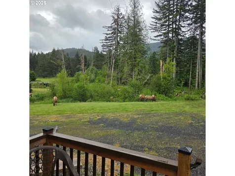 252 Blackledge Road Carson WA 98610