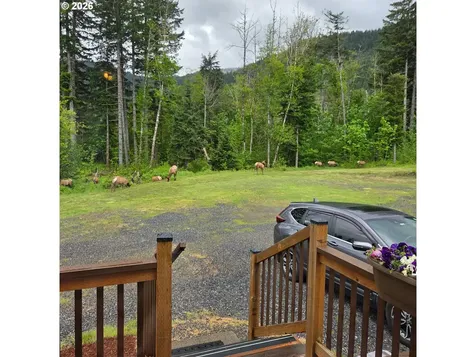 252 Blackledge Road Carson WA 98610