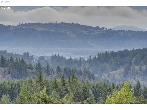 32320 NE Ammeter Road Washougal WA 98671