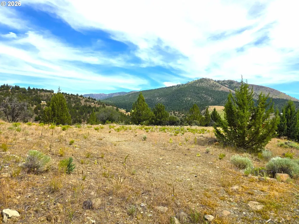 Elkview Drive Canyon City OR 97820