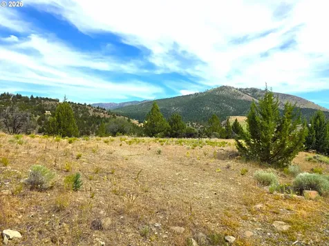 Elkview Drive Canyon City OR 97820