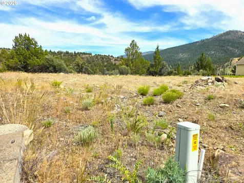 Elkview Drive Canyon City OR 97820