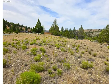 Elkview Drive Canyon City OR 97820