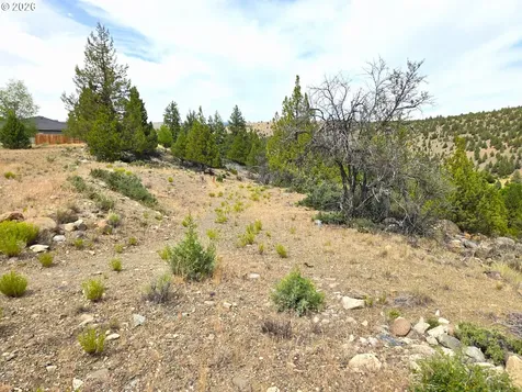 Elkview Drive Canyon City OR 97820