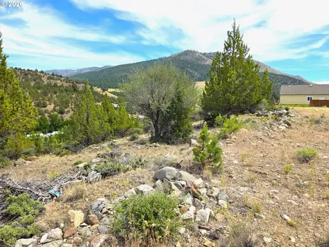 Elkview Drive Canyon City OR 97820