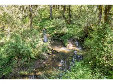 56520 Nehalem Highway S Vernonia OR 97064