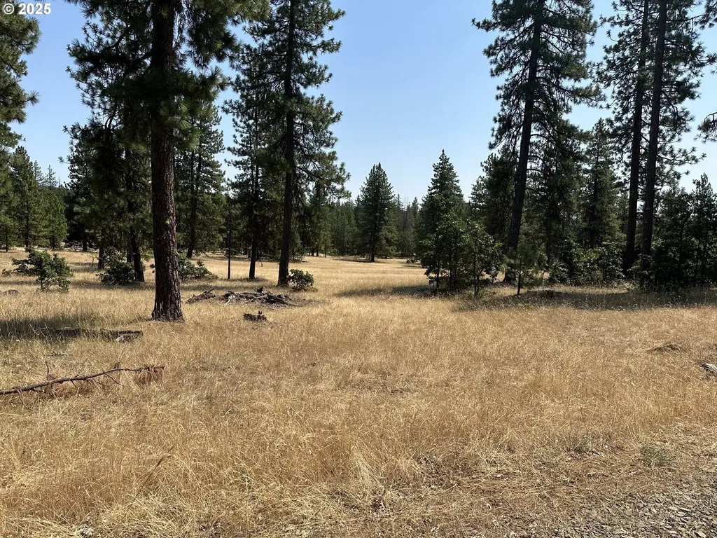 13 Greyback Mtn Road Goldendale WA 98620
