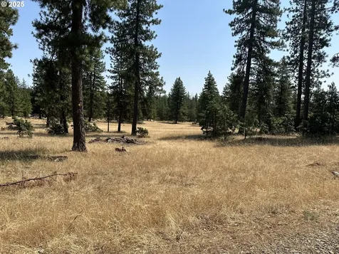 13 Greyback Mtn Road Goldendale WA 98620