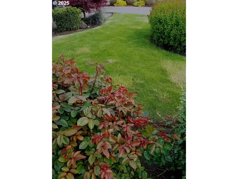 875 Julie Lane Molalla OR 97038