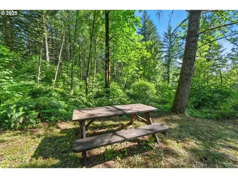 2507 NE 375th Avenue Washougal WA 98671